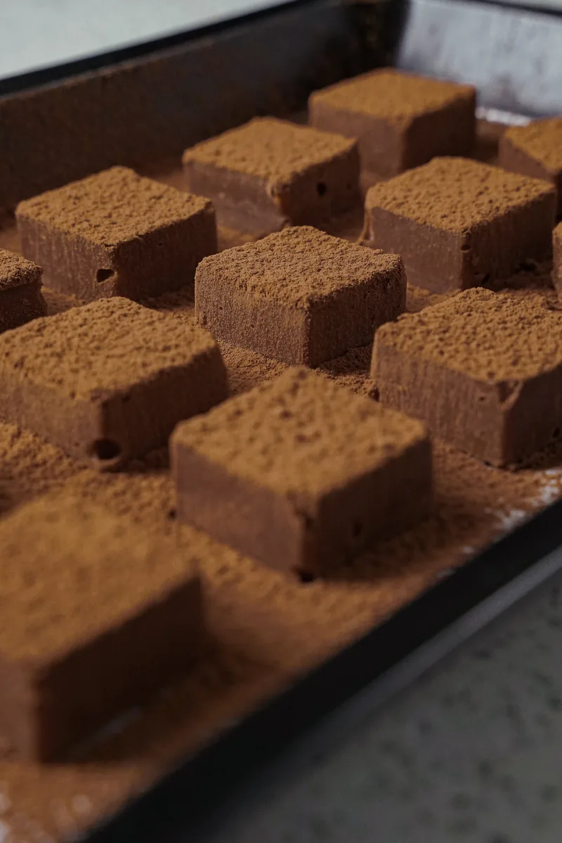 Cocoa dusted chocolate cubes lined up in a tray, one lifted slightly proud of the rest.