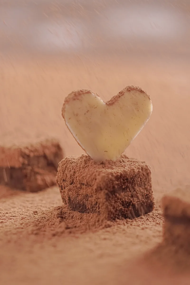 A white chocolate heart standing on a cocoa dusted brownie.
