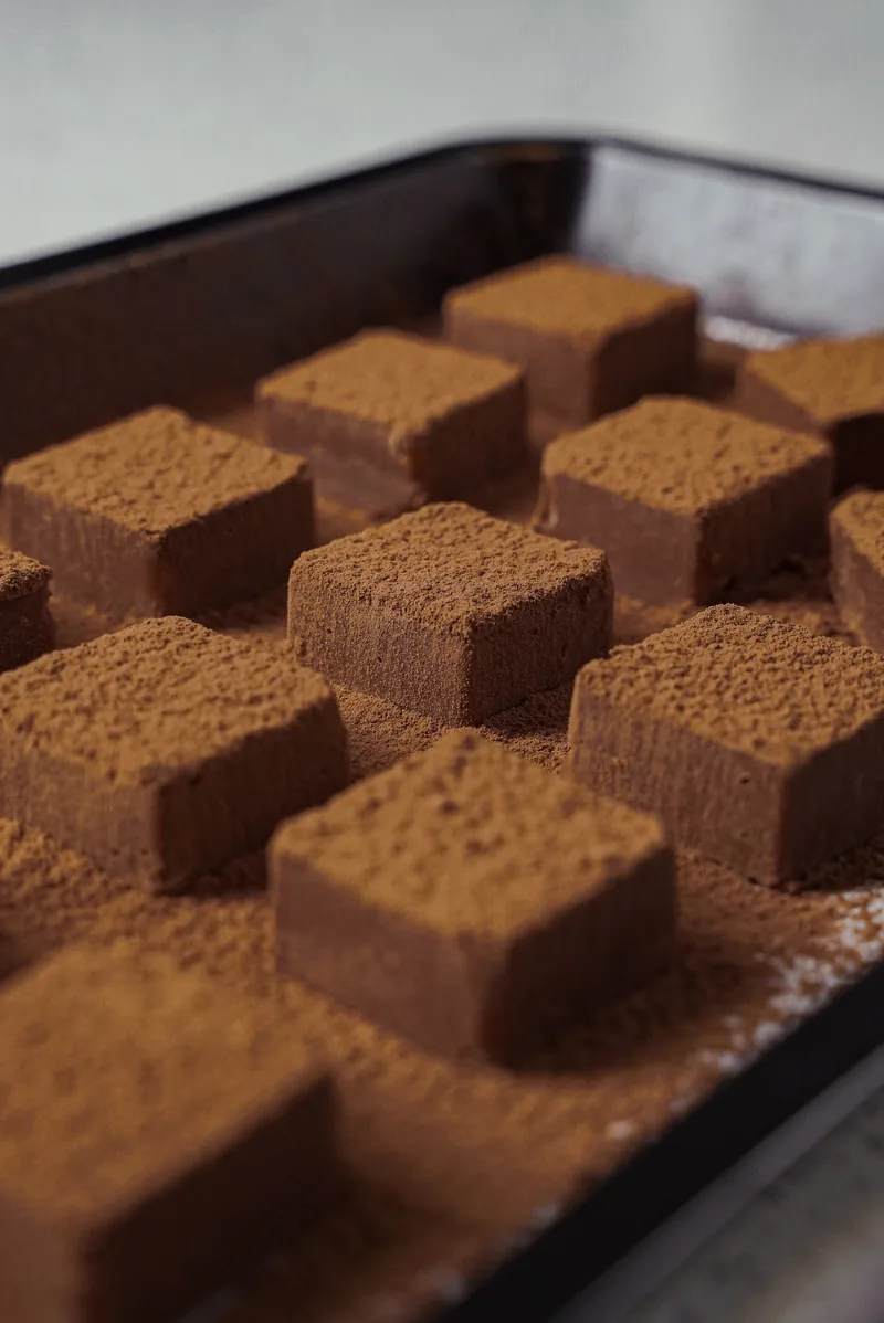 Rows of cocoa dusted chocolate cubes packed into a metal tray.