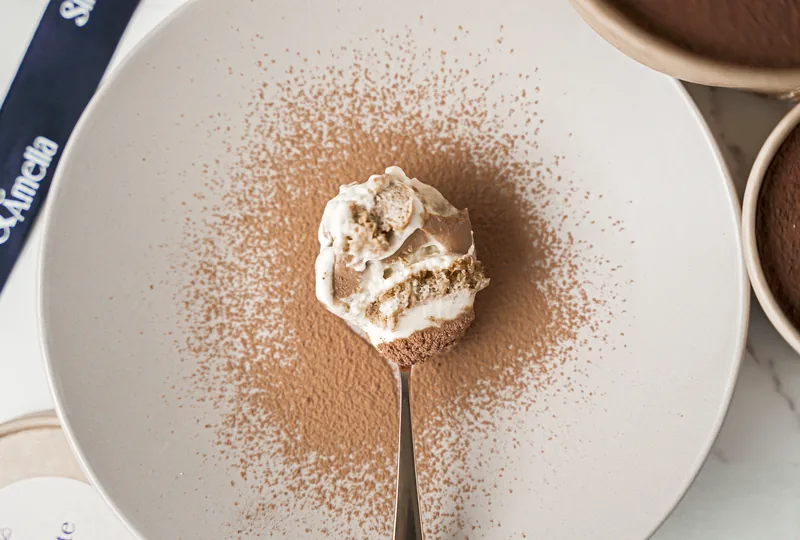 Overhead of a spoon of chocolate dessert on a pale plate inside a wide halo of dusted cocoa.